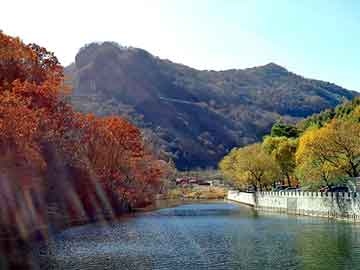 新澳天天开奖资料大全旅游团，大邱庄镀锌管厂